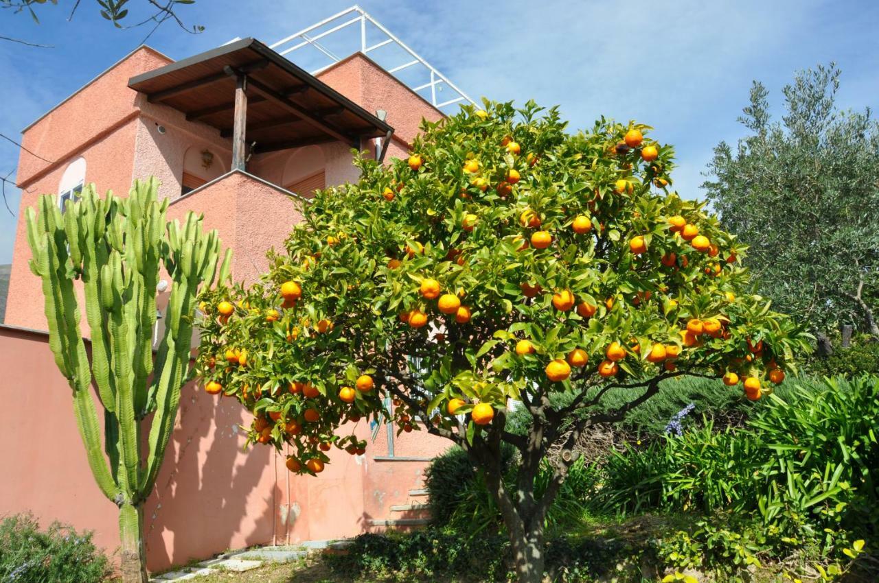 Villa Paolina Ceriale - App. 4 Posti المظهر الخارجي الصورة